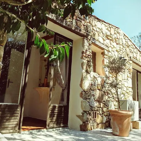 Salvacintoggio -votre Avec Piscine Privee- Villa Porto-Vecchio (Corsica)